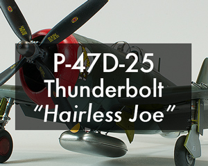 P-47D_HairlessJoe